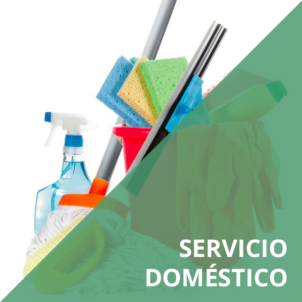 servicios domesticos, asistentas a domicilio, planchado por horas, servicios express, servicios a domicilio, expertos express